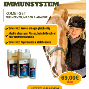 Immunsystem Pferd stärken – Kombi-Set mit TOTAL B Complex, Gastro Care & Protection zur Unterstützung in Stress- oder Rehaphasen